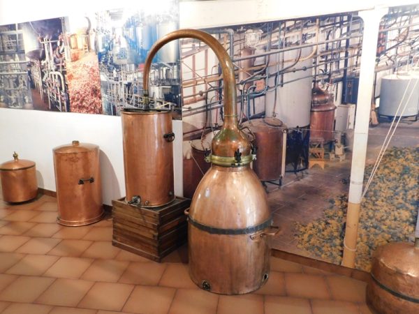 Aromaterapinės kelionės: PROVANSAS – PASKUI LEVANDŲ KVAPĄ ! - Image 6