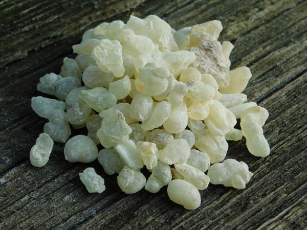 Frankincenso derva – Žalsvai balta, 50 g