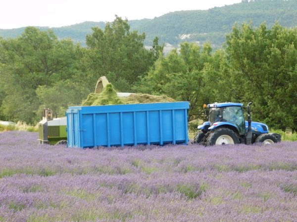 Aromaterapinės kelionės: PROVANSAS – PASKUI LEVANDŲ KVAPĄ ! - Image 23