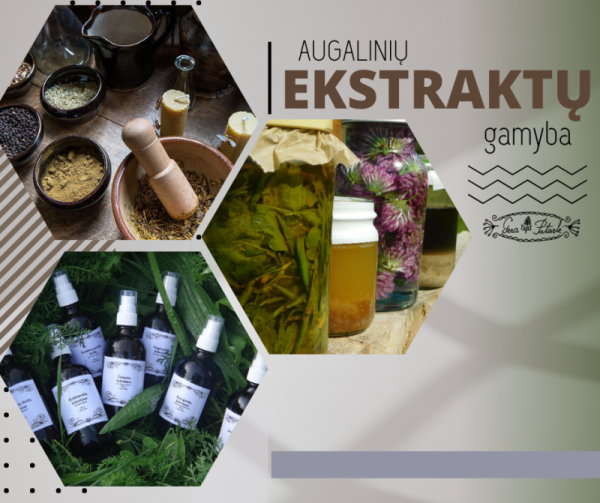 AUGALINIŲ EKSTRAKTŲ GAMYBA, 10 akad. val. – Nuotoliniai mokymai